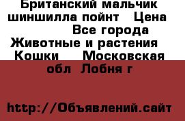 Британский мальчик шиншилла-пойнт › Цена ­ 5 000 - Все города Животные и растения » Кошки   . Московская обл.,Лобня г.